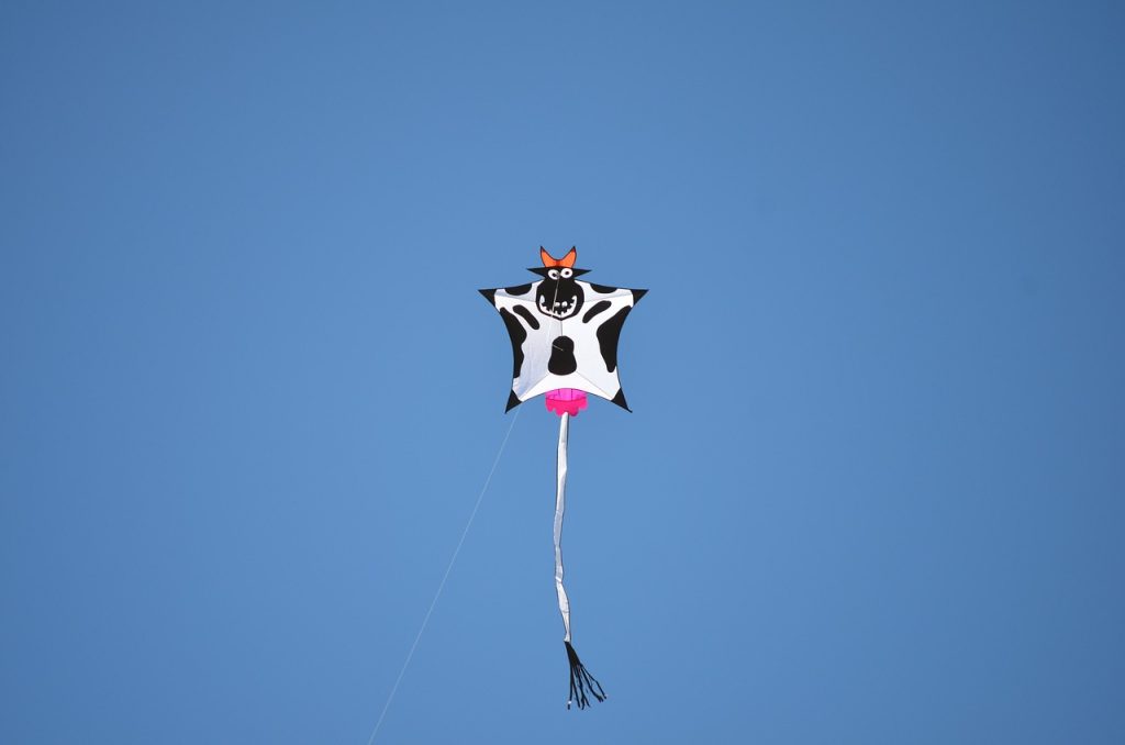 kite, cow, animal-767185.jpg